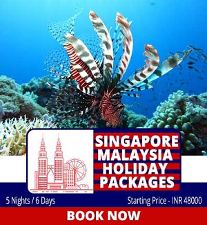 5 Nights 6 Days Singapore Malaysia Holiday Package